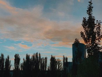 Low angle view of silhouette trees against sky at sunset