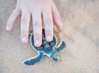 Close-up of human hand