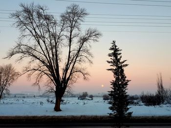 Silhouette bare trees on field against sky during winter