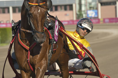 Man riding horse