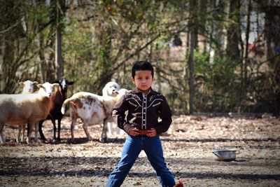 Portrait of boy standing against sheep at farm