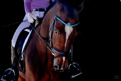 Close-up of man horse against black background