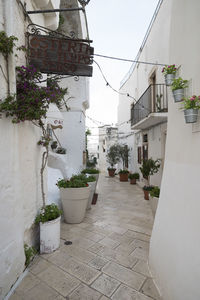 Potted plants on footpath outside building