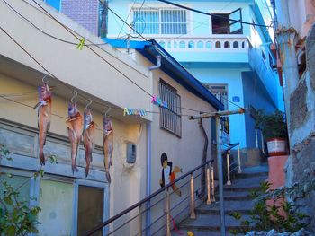 Staircase in building