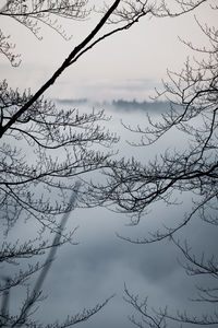 Low angle view of silhouette bare tree against sky