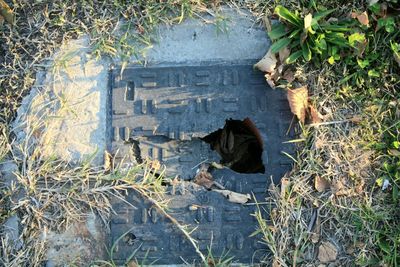 High angle view of text on field