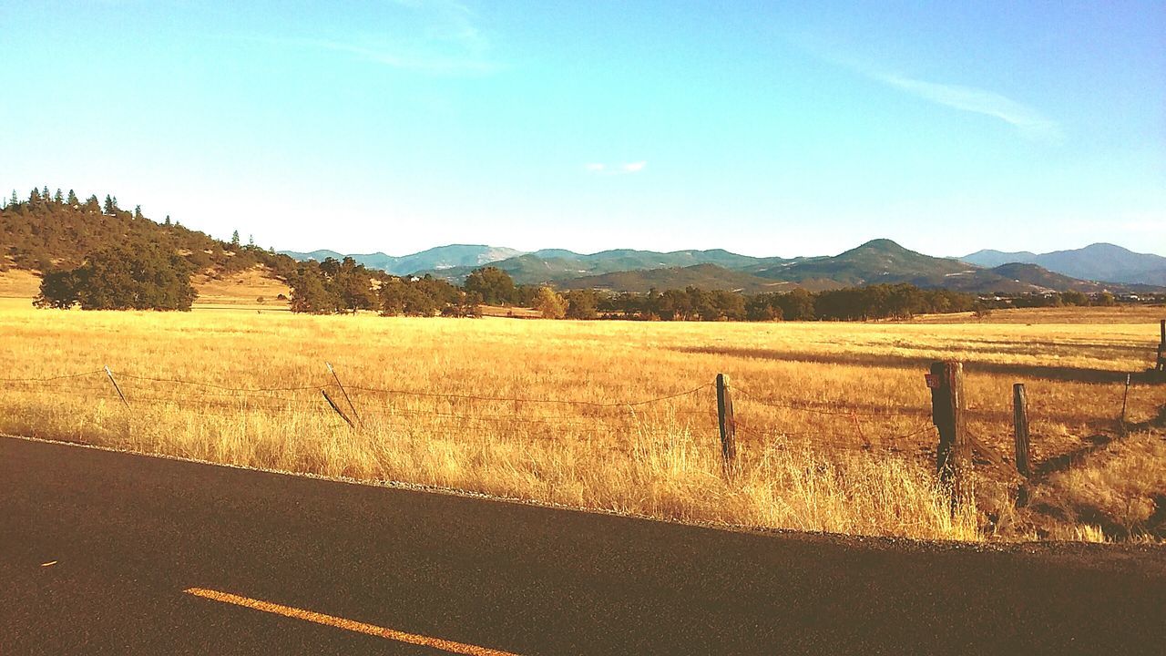 landscape, tranquil scene, tranquility, mountain, field, scenics, rural scene, beauty in nature, agriculture, sky, nature, blue, clear sky, yellow, fence, mountain range, non-urban scene, remote, day, road