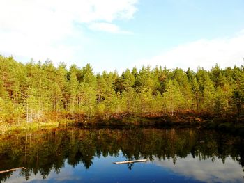 Reflection of trees in lake against sky