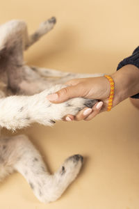 Cropped hand of woman with dog