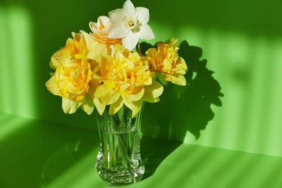 Close-up of flowers in vase