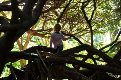 Low angle view of boy climbing on tree at playground