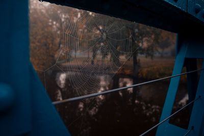 Close-up of spider web