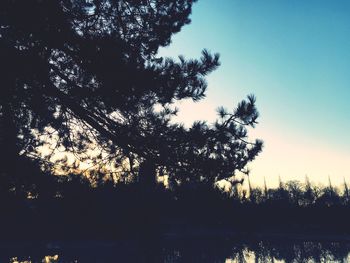 Silhouette trees by lake against sky at sunset