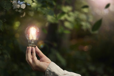 Hand holding lightbulb