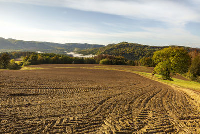 Scenic view of field against sky