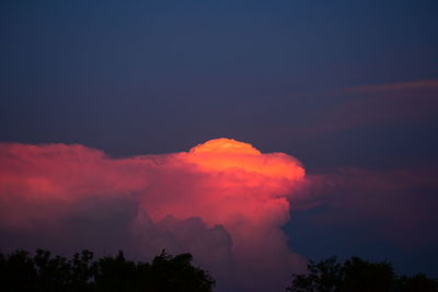 Low angle view of silhouette trees against sky during sunset