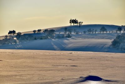 Scenic view of beach against sky