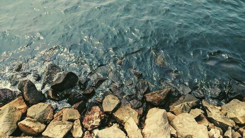 High angle view of rocks in sea