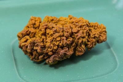 Close-up of dried food on plate