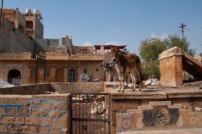 View of a building