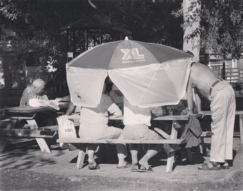 People sitting in park