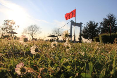 Red flag on field against sky