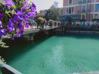 Scenic view of swimming pool by canal