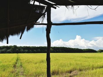 Scenic view of field against sky