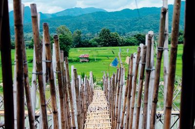 Panoramic view of wooden fence on field