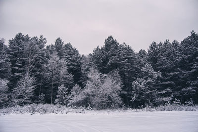 Scenic view of snow covered landscape