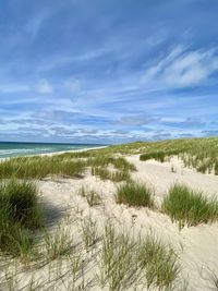 Scenic view of beach against sky