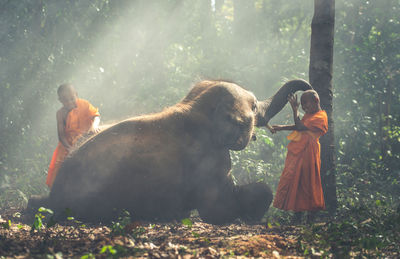 Panoramic view of people in forest