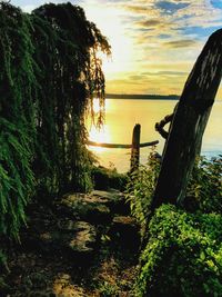 Scenic view of sea against sky during sunset