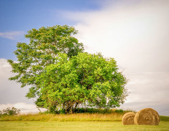 Scenic view of field against cloudy sky