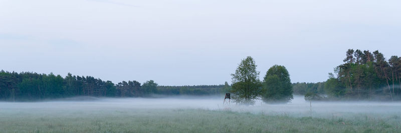 Trees on field against sky