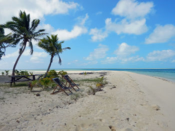 Palm trees on beach against sky