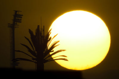 Close-up of silhouette tree against sky during sunset