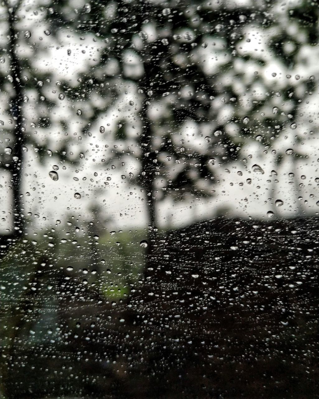 drop, wet, water, transparent, window, rain, glass - material, no people, nature, raindrop, day, city, indoors, glass, close-up, full frame, plant, rainy season, purity