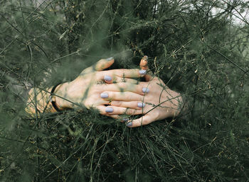 Cropped hands holding plants