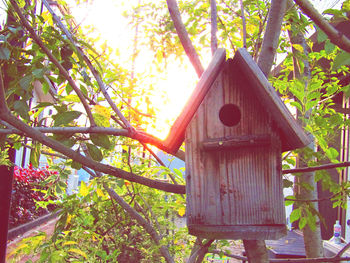 Low angle view of birdhouse hanging on tree