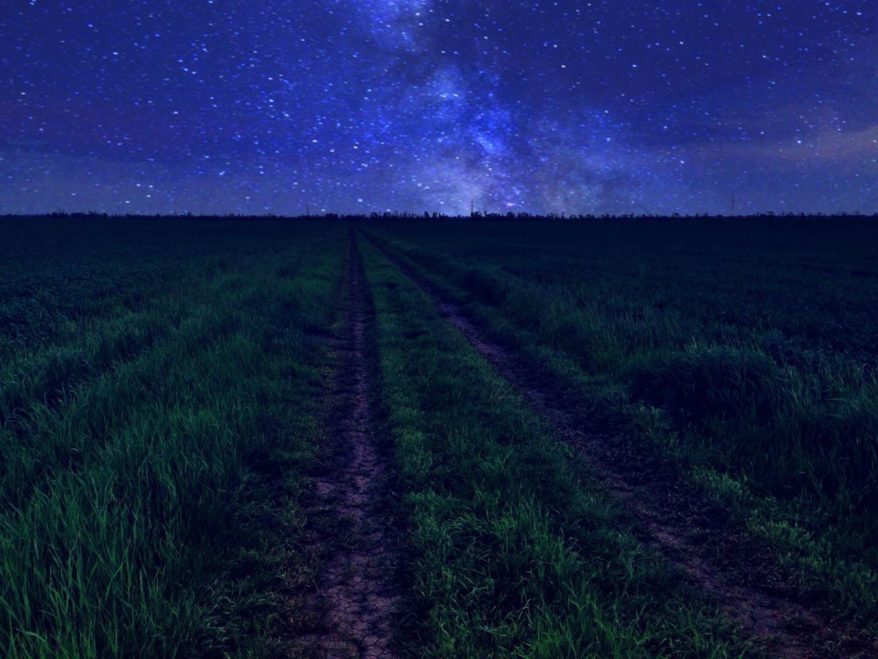 tranquil scene, tranquility, landscape, scenics, beauty in nature, field, night, nature, sky, grass, star field, star - space, astronomy, infinity, idyllic, non-urban scene, rural scene, blue, remote, horizon over land