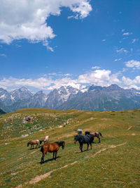 Horses on field against mountain range