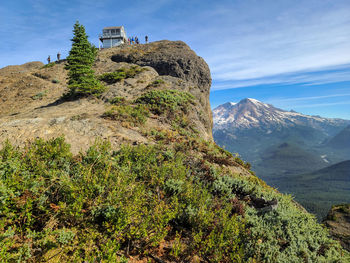 Plants growing on mountain against sky