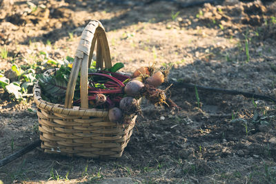 Close-up of wicker basket on field