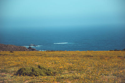 Scenic view of sea against clear sky