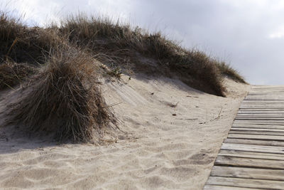 Surface level of boardwalk on sand at beach against sky