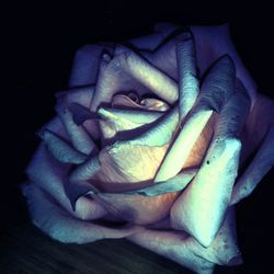Close-up of hand over black background