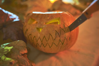 Close-up of lemon slice on table