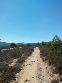 Dirt road passing through landscape