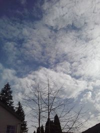 Low angle view of silhouette trees against sky